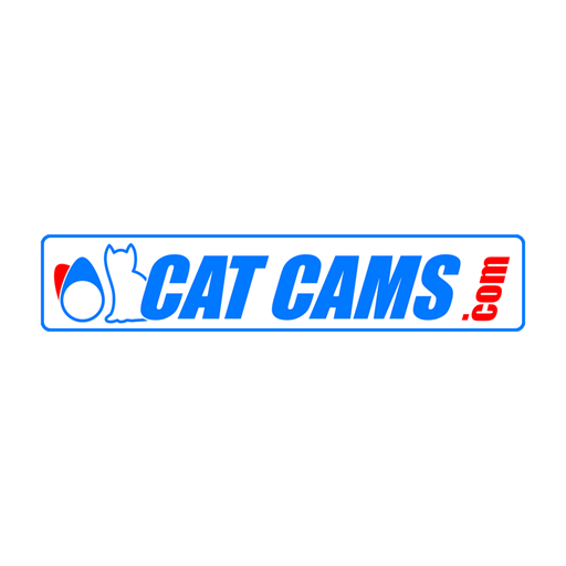 Cat Cams