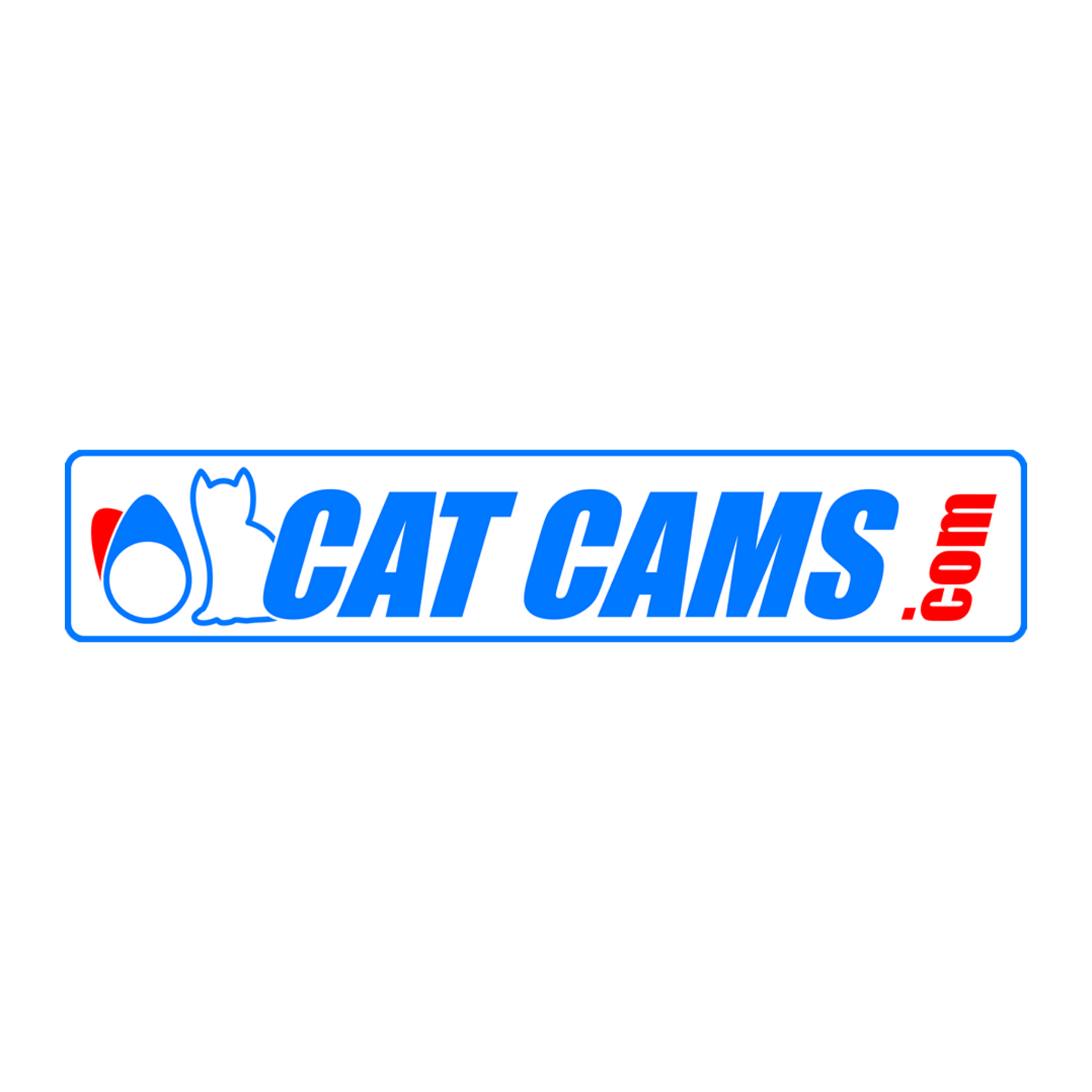 Cat Cams