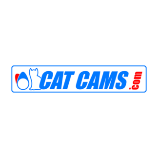 Cat Cams